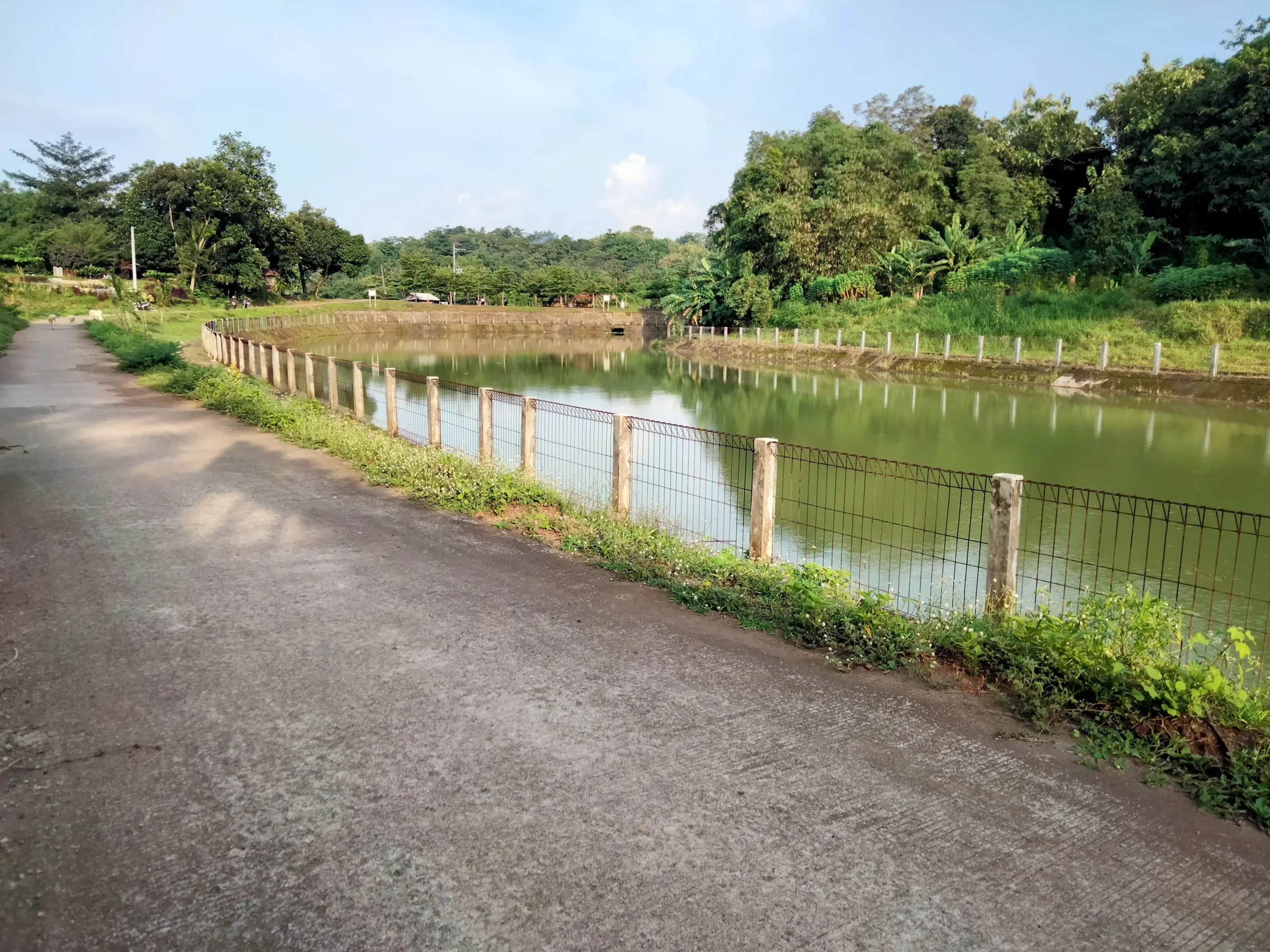 embung bapangan jepara