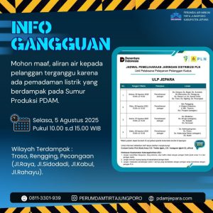Informasi Gangguan Pemadaman